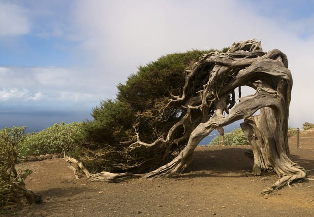 El Hierro