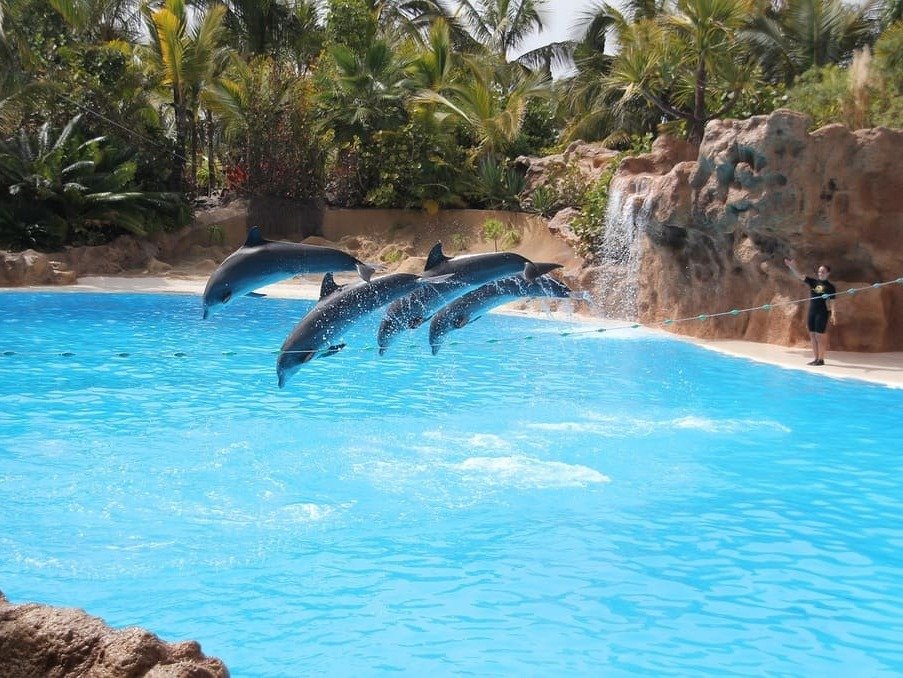Loro Park